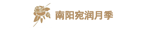 宛潤(rùn)月季